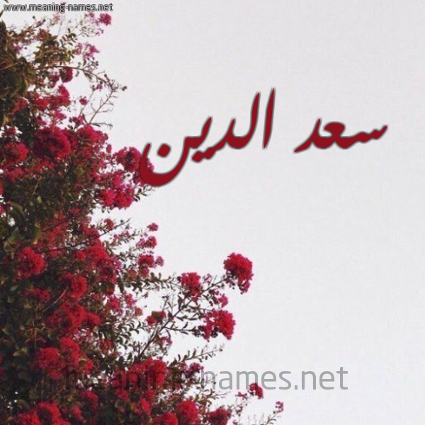 شكل 18 صوره الورد الأحمر للإسم بخط رقعة صورة اسم سعد الدين SAD-ALDIN